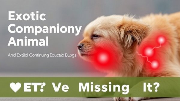 Exotic Companion Animal Pain: Are We Missing It? | VETgirl Veterinary Continuing Education Blogs