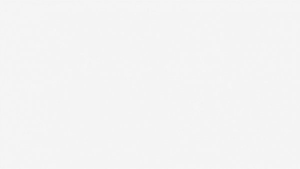 Blank image with no content.