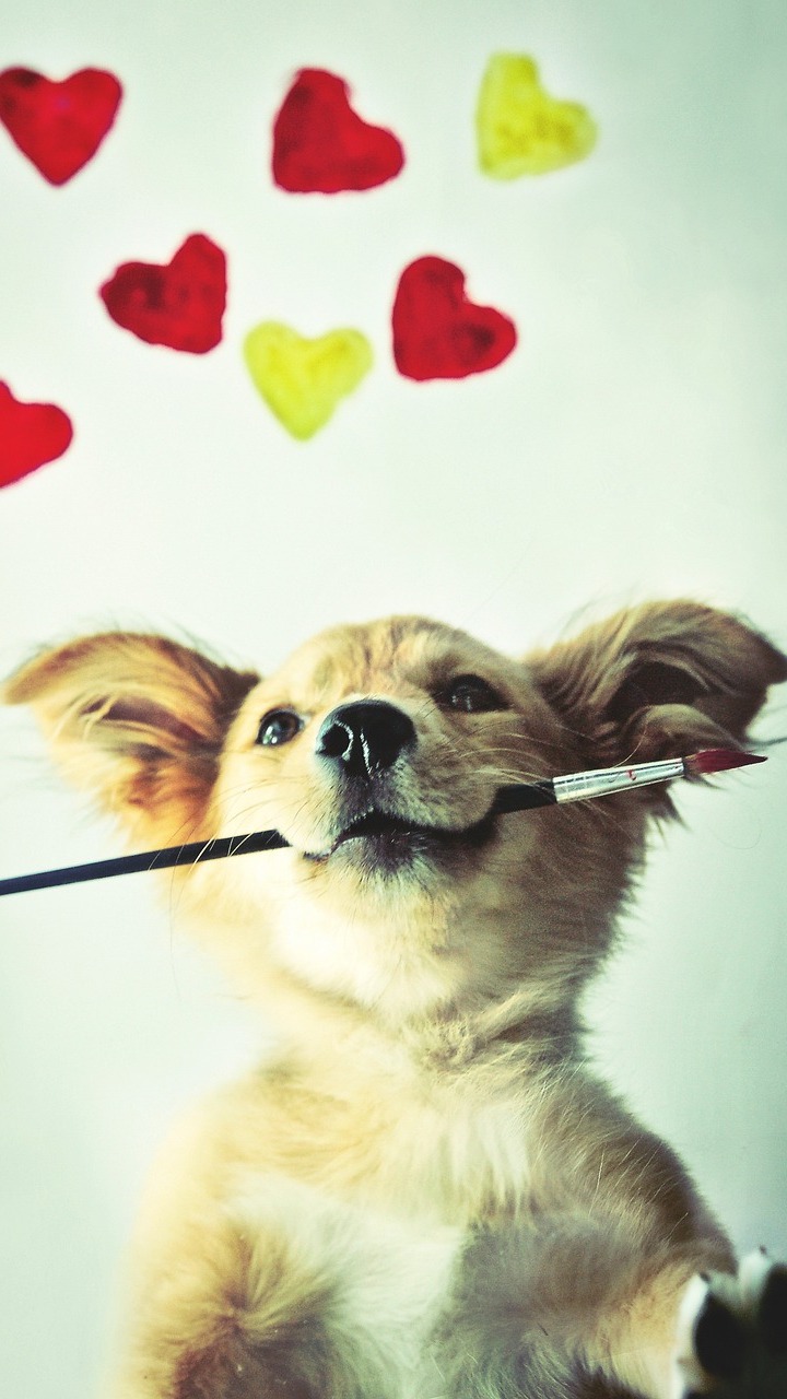 conversational marketing vet clinics - cute dog with paintbrush and happy hearts
