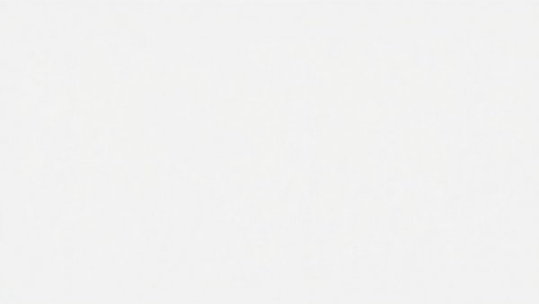 Blank white image representing a minimalist concept.