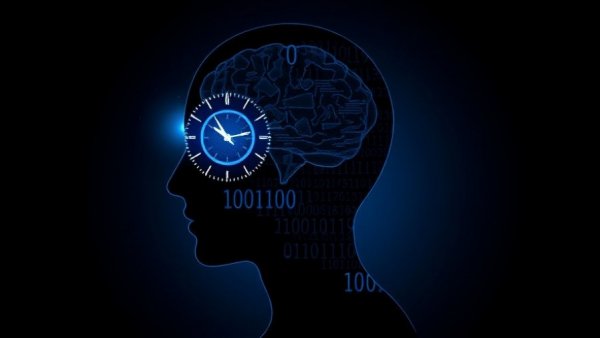 Digital head silhouette with brain and clock, representing decision-making.