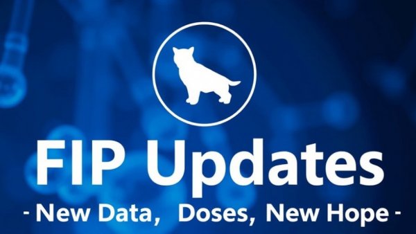 FIP Updates From 2025 Part 1: New Data, New Doses, New Hope | VETgirl Veterinary Continuing Education Blog