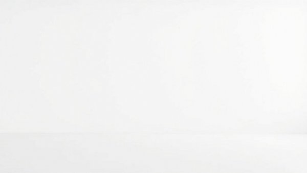 Plain white background representing empty scene