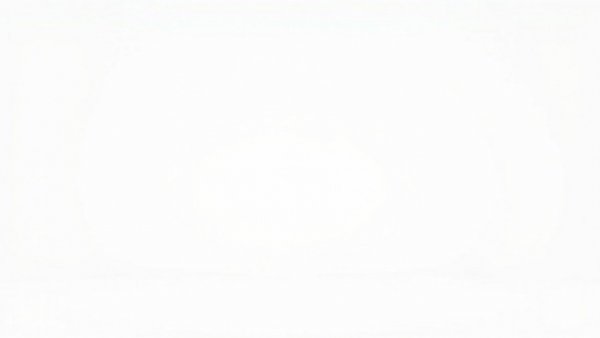 Blank white image representing absence of content.