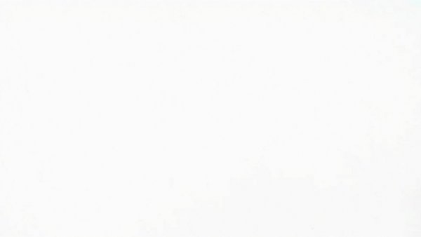 Blank white image, no visible content, Rochester PAB policing technology report.