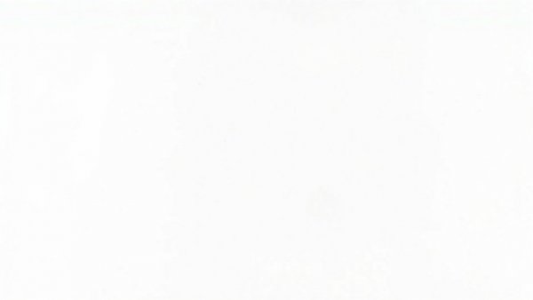 Blank white image representing an empty canvas.