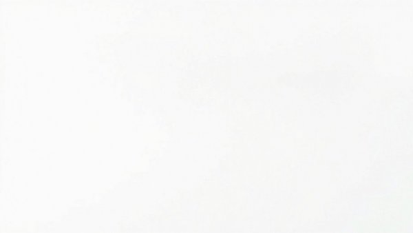 Blank white image representing a plain canvas
