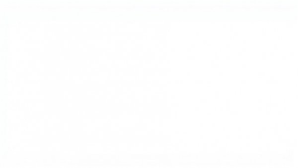 Blank white image indicating no content