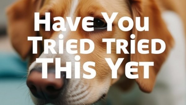 Have You Tried This Yet? New (or New-ish) Products, Protocols and Procedures in Veterinary Anesthesia and Analgesia