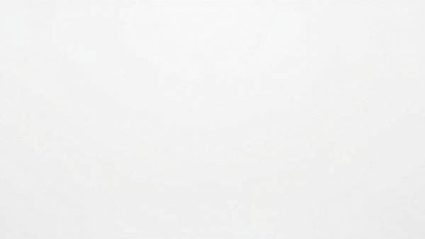 Blank white image with no content.