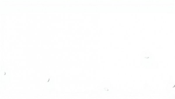 Blank white canvas symbolizing new beginnings.
