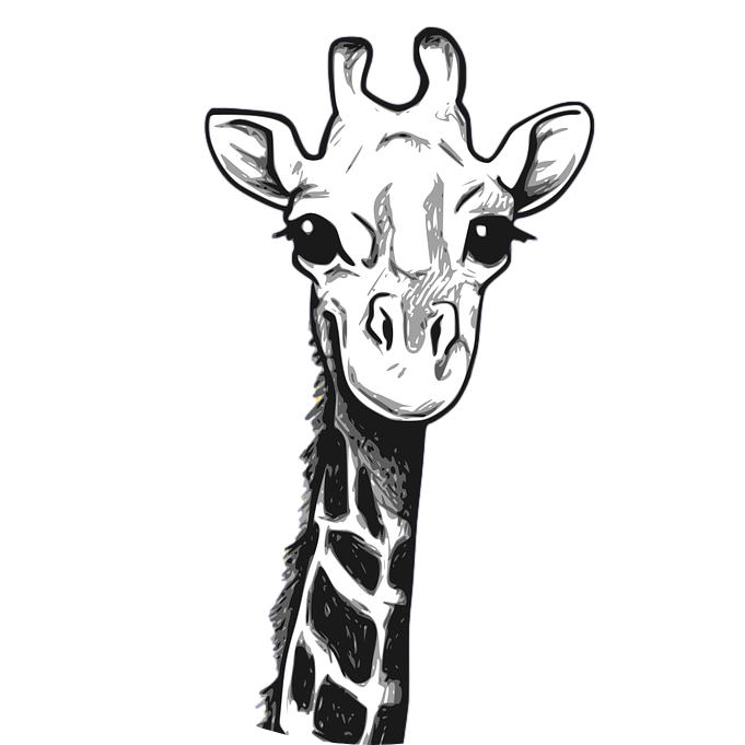 cartoon graphic - smiling giraffe - adventure safari