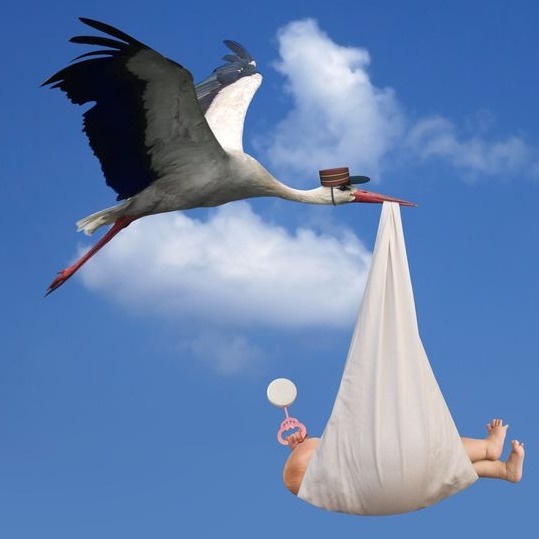 Stork Delivering Baby