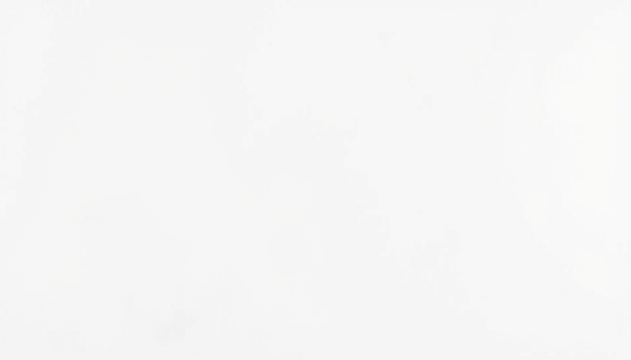 Blank white image with no content.