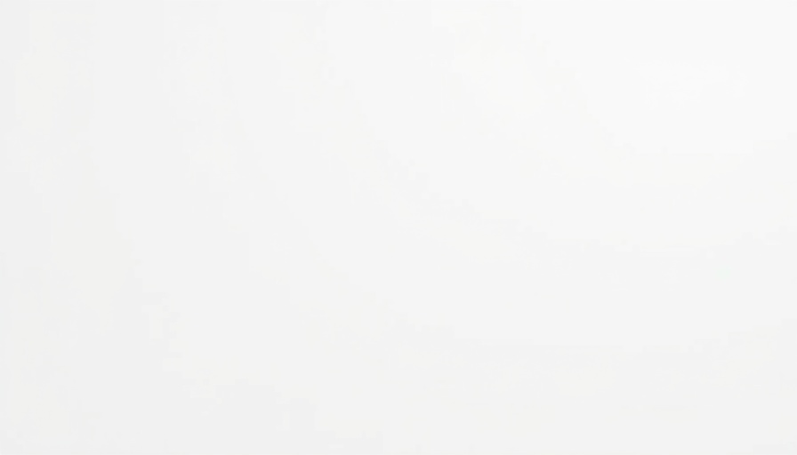 Blank white image representing emptiness or absence.