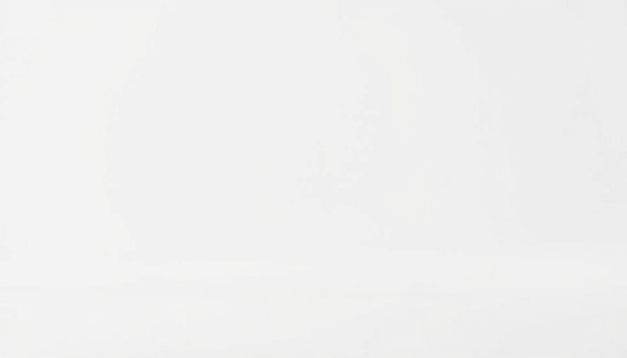Blank white image representing simplicity.