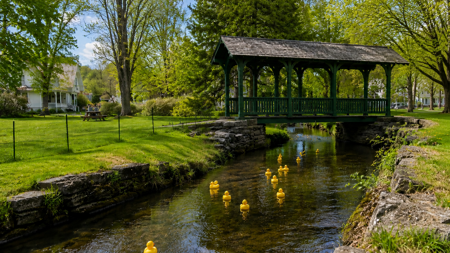 Green covered footbridge over a shallow creek with eight yellow rubber ducks floating downstream beneath it.