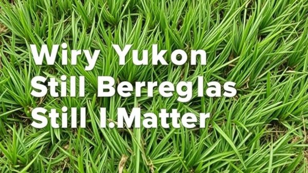 Why Yukon Bermudagrass Still Matters After 25 Years