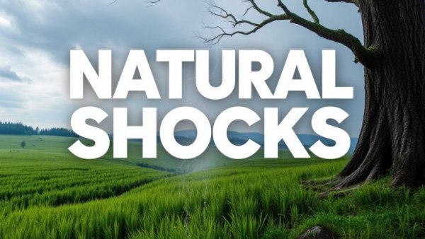 Smart Bets: Natural Shocks