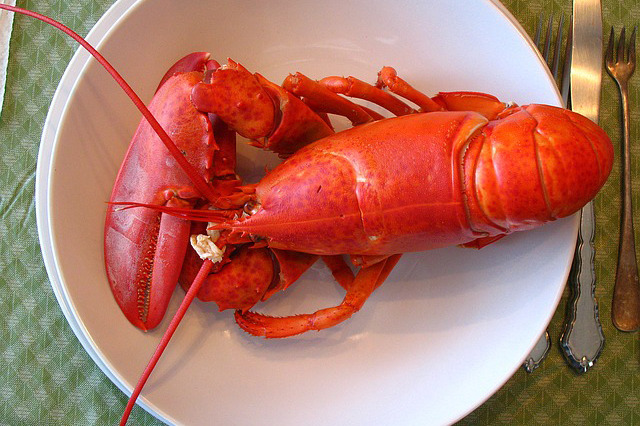 Gaucho Maine Lobster