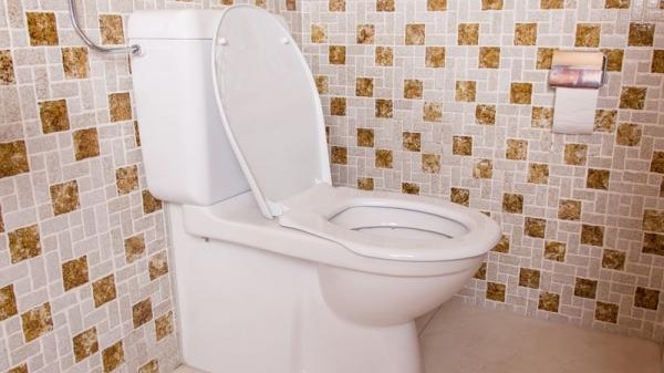 Toilet Installation And Repair