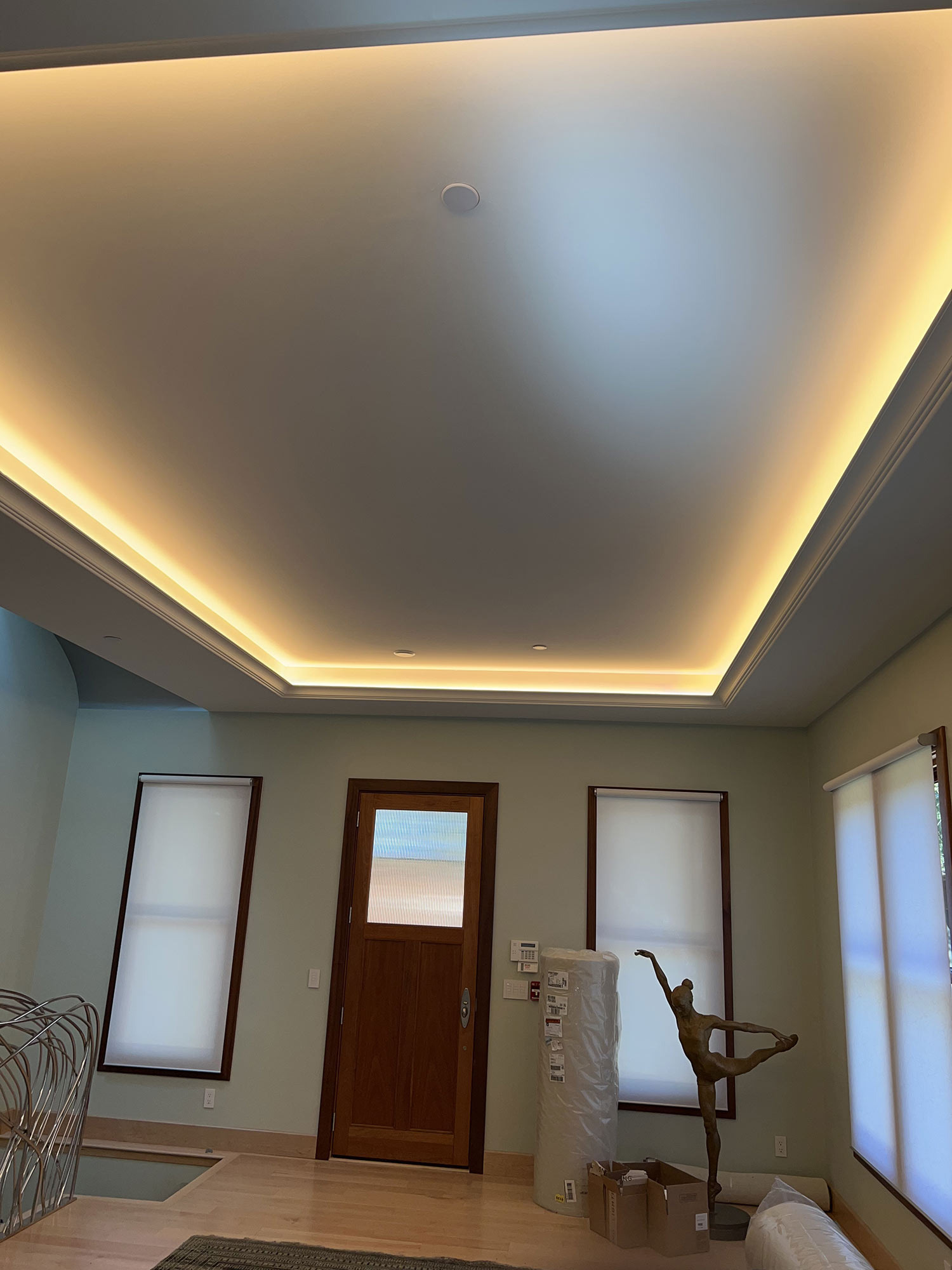 Decorative Ceilings