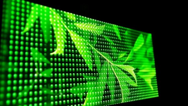 Advanced mini-LED monitor with vibrant display, ideal for business use.