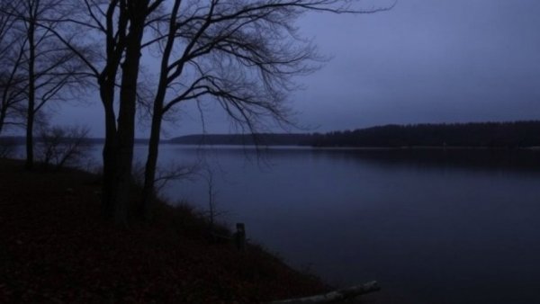 New England warming faster than most places on Earth, study finds