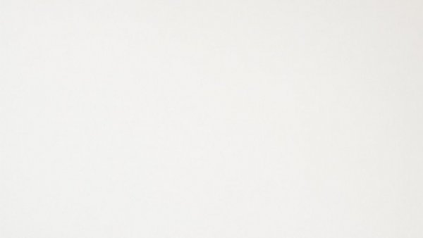 Empty white background representing absence of data privacy lawsuit content.