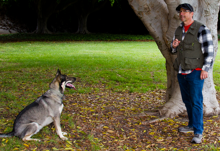 Agape K9 Care K9 Dog Training in Huntington Beach, CA