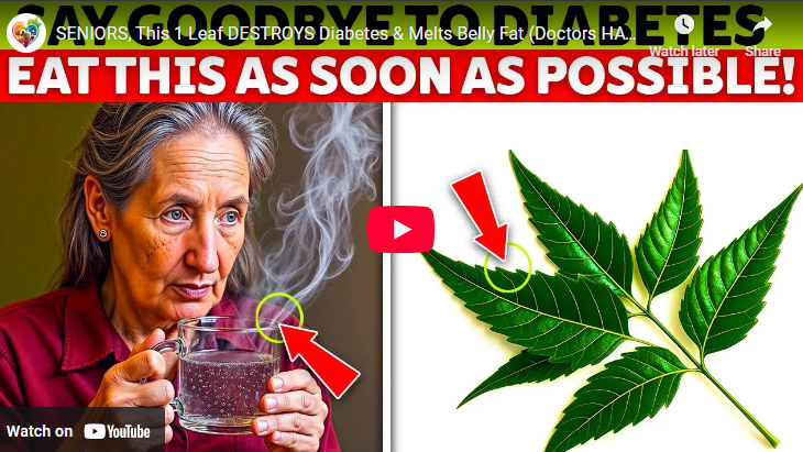 Healing leaves for diabetes and belly fat concept with herbal tea and neem leaves.