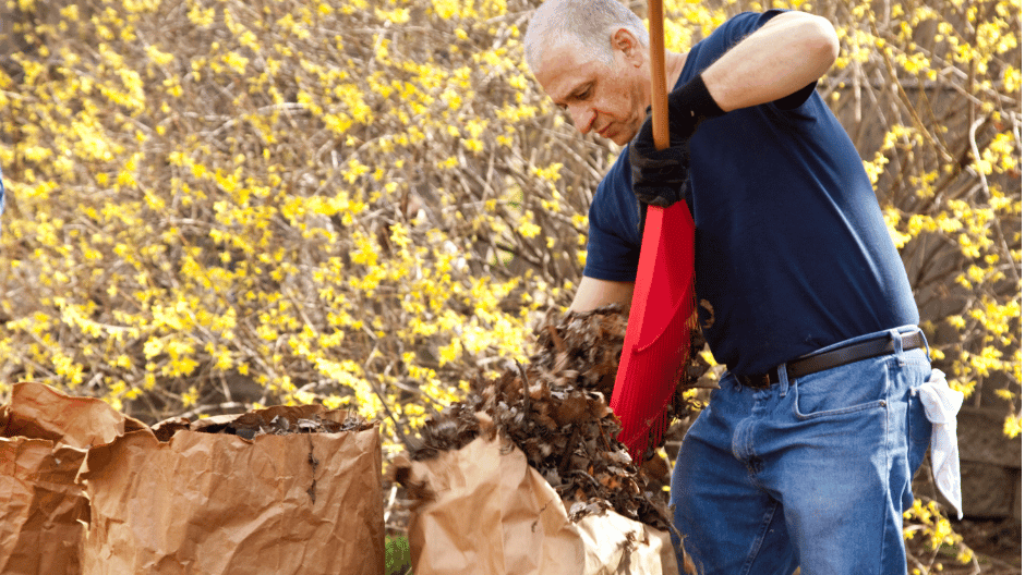 yard cleaning services Quakertown