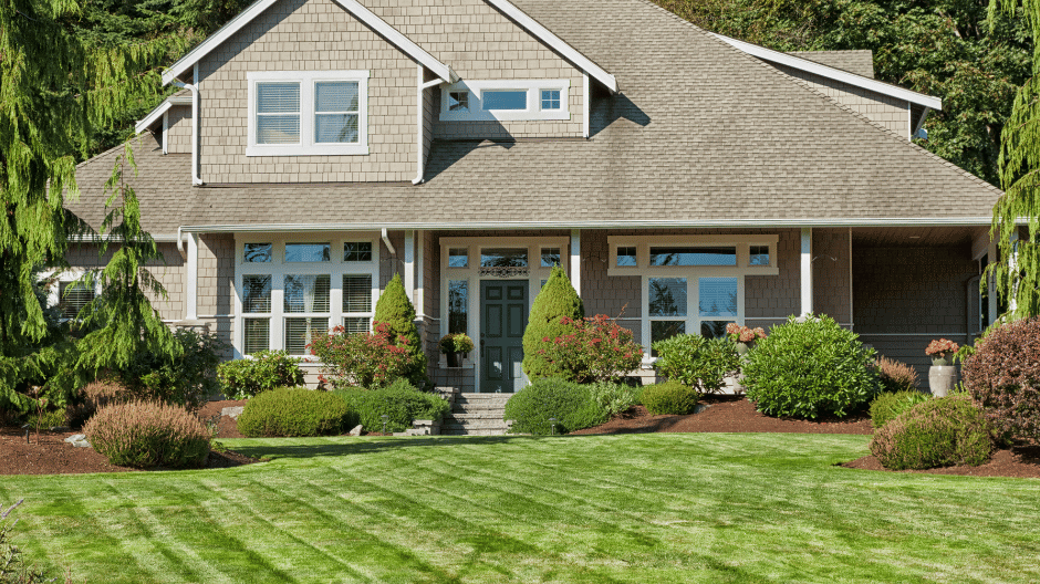 Professional Landscaping Allentown PA