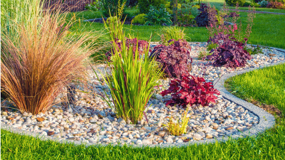 Lehigh Valley Landscaping Plants