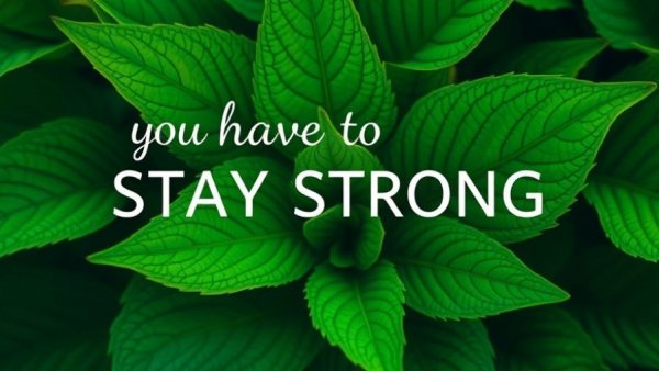 Self-acceptance for women over 50: lush green leaves and motivational text.