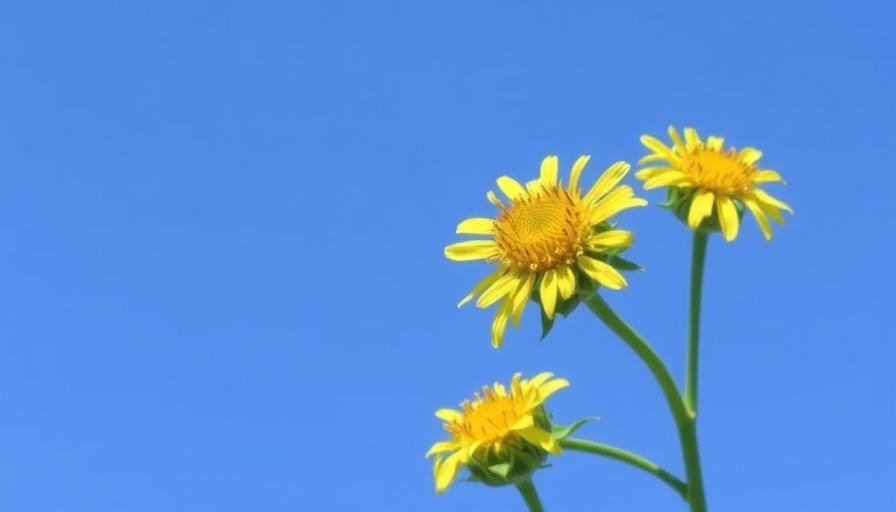 Are Neonics Essential to All Crops? Research Says No