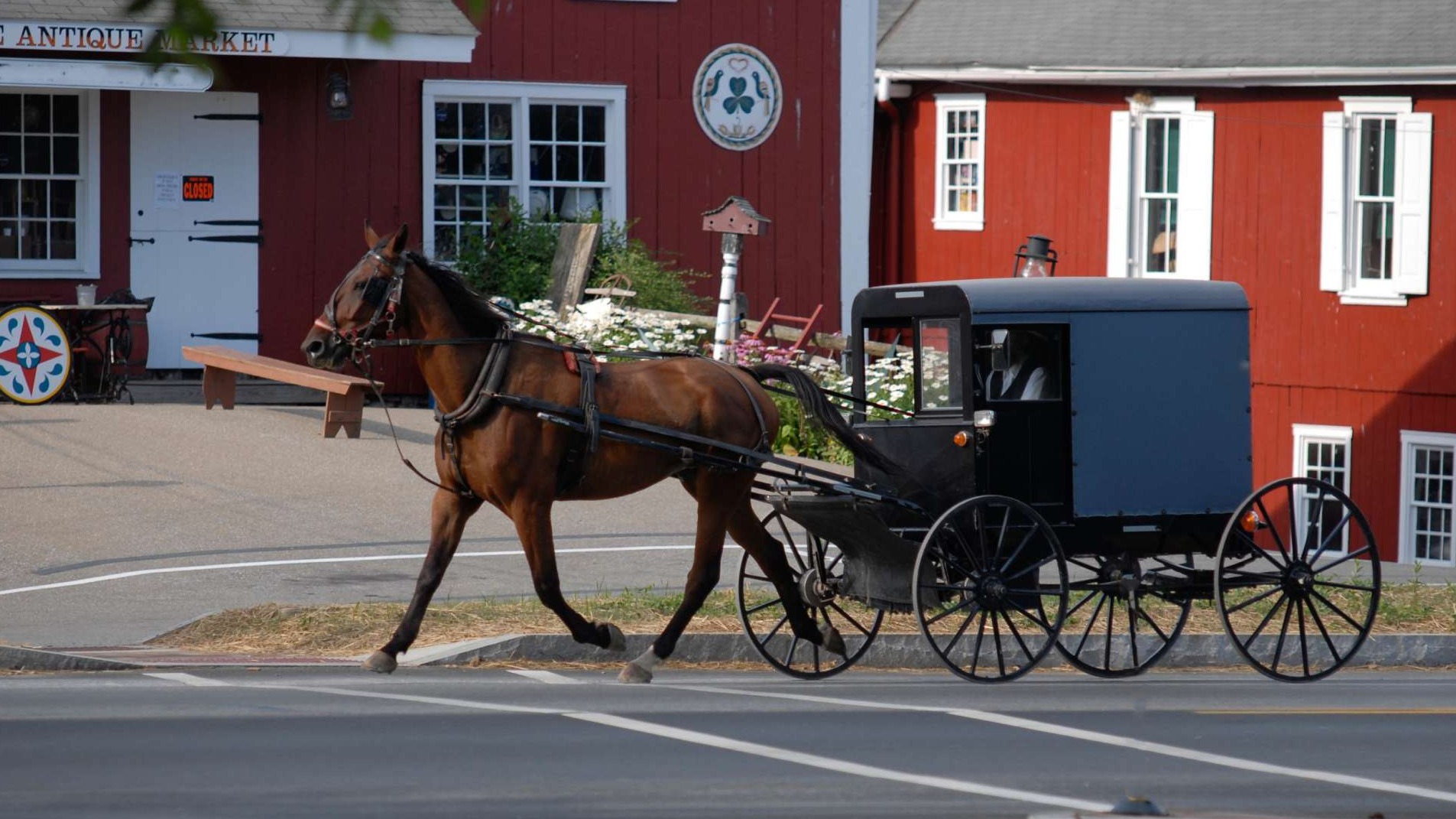 Amish horse and buggy highlights the community