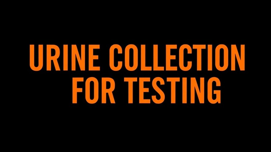 Modern typography 'Urine Collection for Testing' emphasizing health and wellness in kidney function testing.