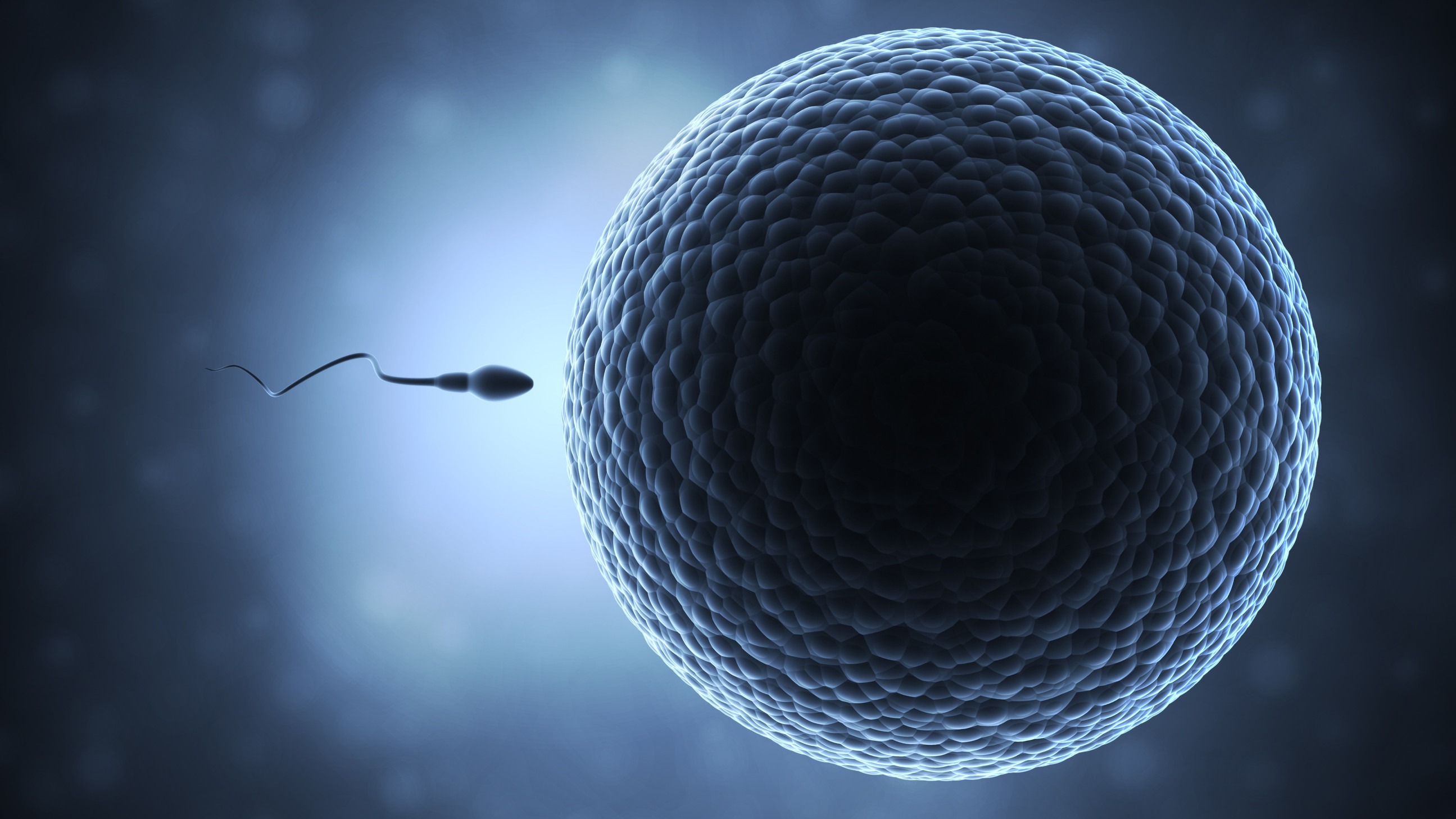 Cinematic illustration of fertilization showing a purple egg and sperm, highlighting evidence-based medicine in reproductive health.