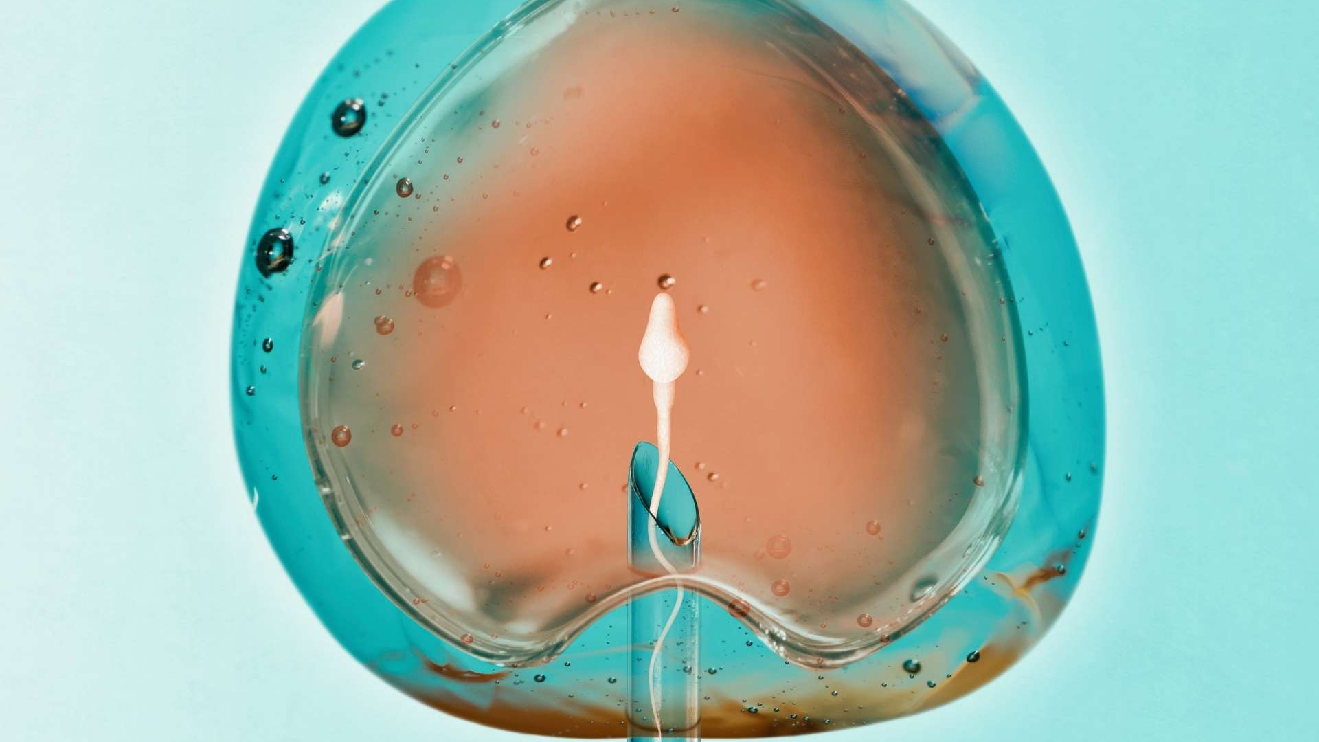 Ovum highlighting embryo grading in IVF.