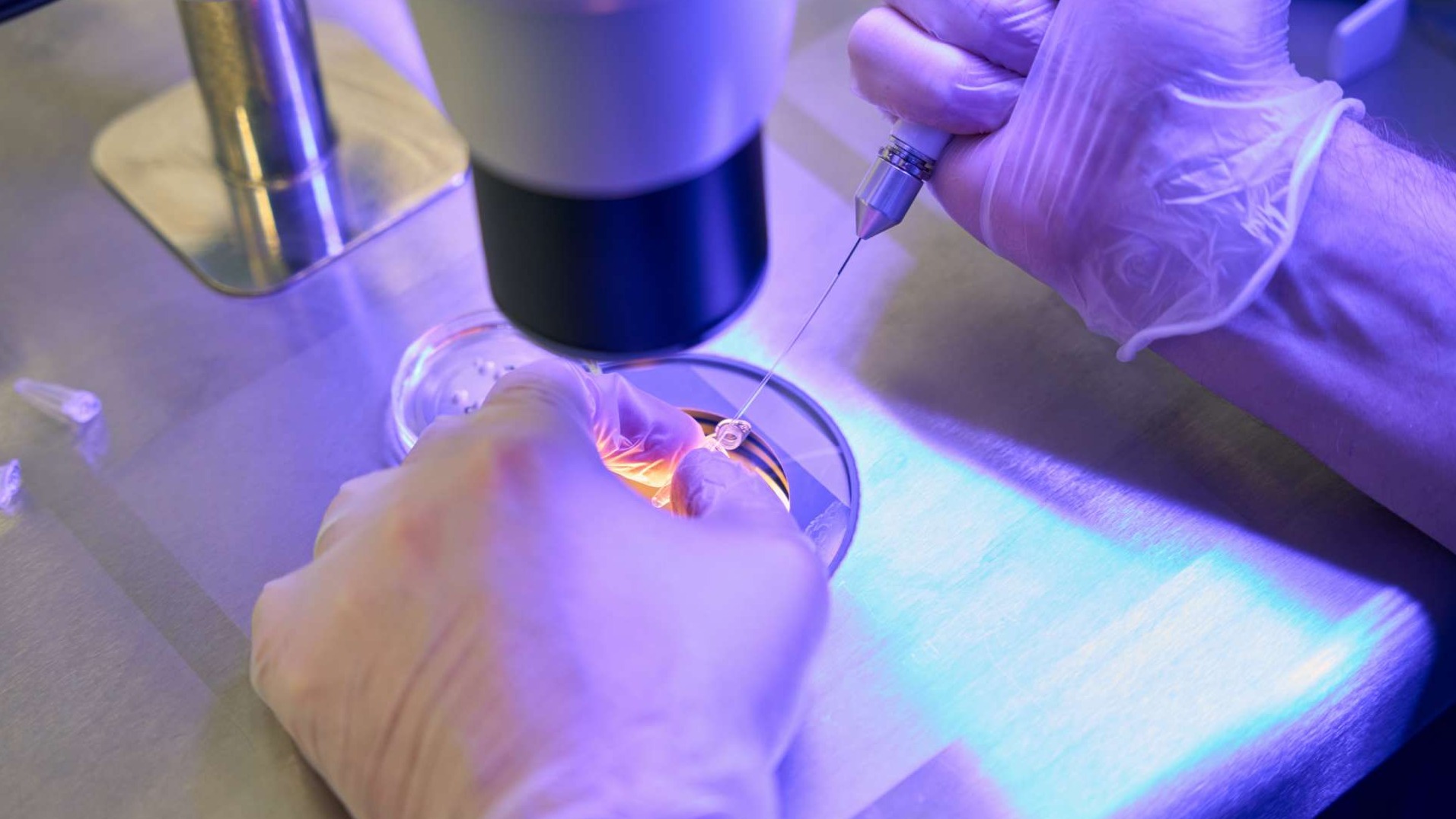 Reproductive laboratory uterine aging and IVF research