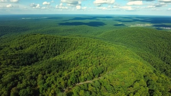 Aerial view of Bessemer landscape for data center expansion.