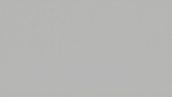 Minimalistic placeholder silhouette on gray background.