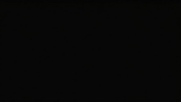 Daniel Jack Gaido JR Tersis Technologies unseen.