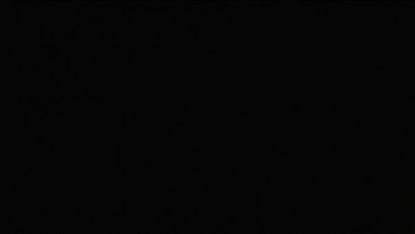 Data Watts Partners Inc financial filing delay depicted by blackout