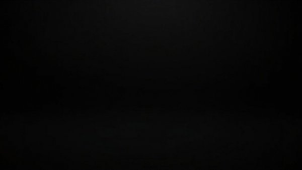 Blank image representing absence of content.