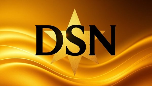 Elegant abstract design with DSN and a star for Bravo Leadership Award.