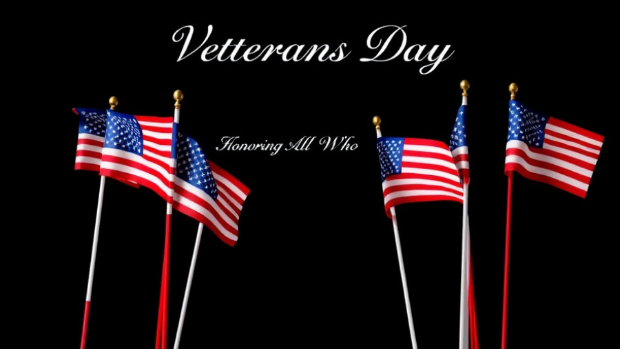 Veterans Day Ceremony in Apex: American flags honoring all who served.