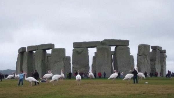 The Brief: Turkey Spas and Stonehenge Stunts