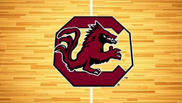 South Carolina Gamecocks logo on a basketball court, ACC SEC Challenge.